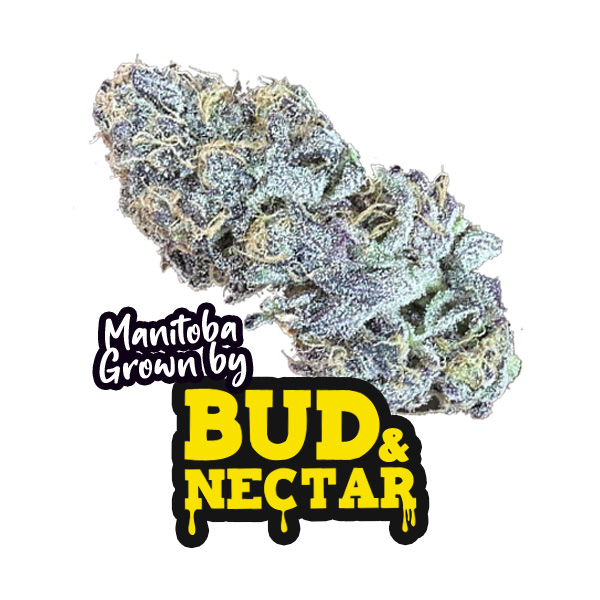 Wasabi by Bud & nectar